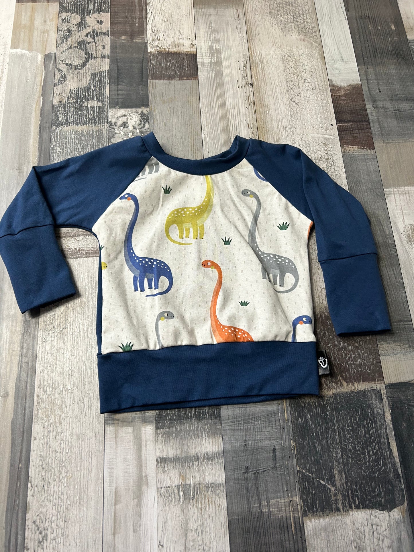 Crewneck évolutif dino/denim 3-12 mois