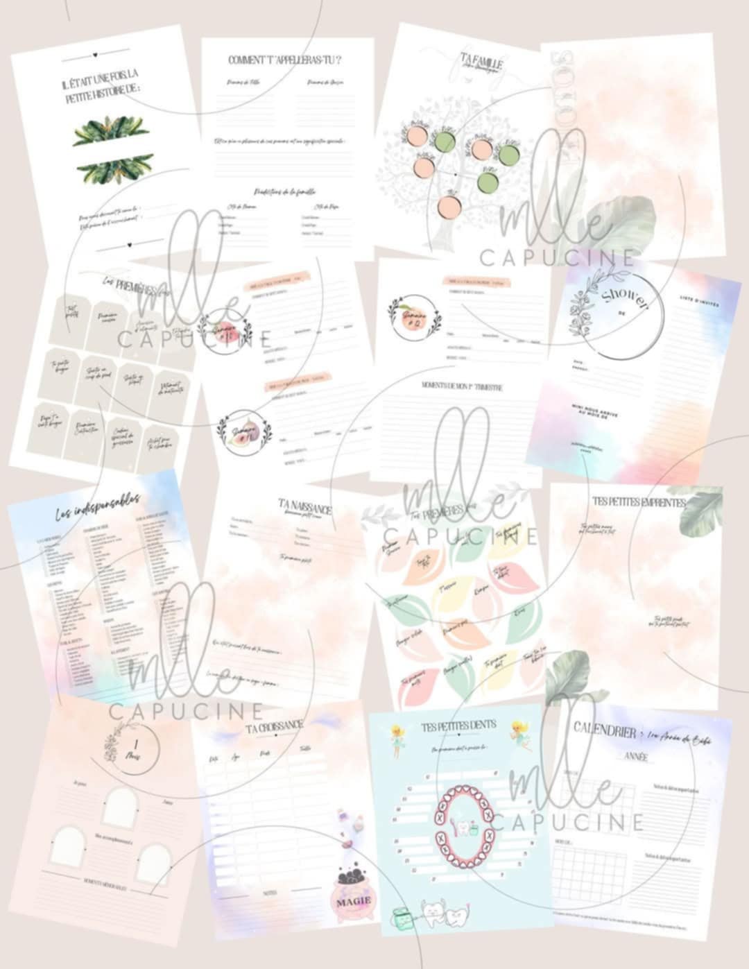 Journal de suivi de grossesse
